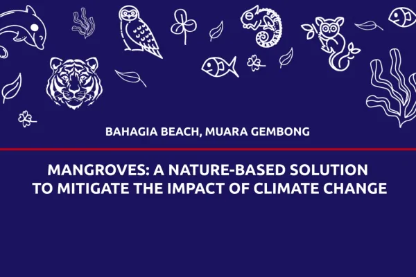 mangroves-a-nature-based-solution-to-mitigate-the-impact-of-climate-change_.png